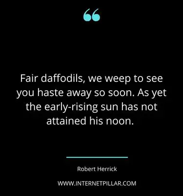 daffodil-quotes-sayings