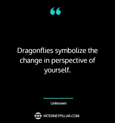 dragonfly-quotes-sayings-captions