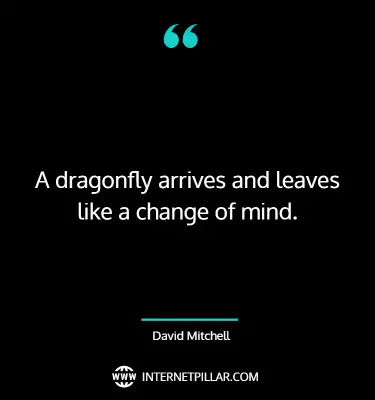 dragonfly-quotes