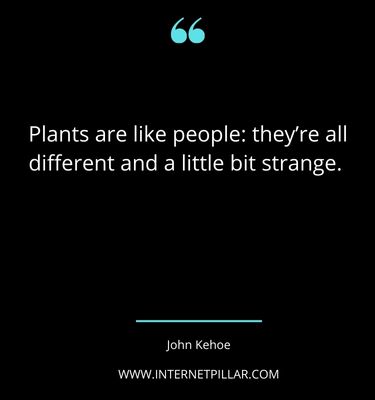 famous-houseplant-quotes-sayings-captions