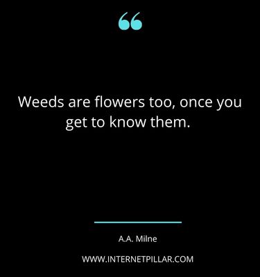 famous-plant-quotes-sayings-captions-for-plant-lovers