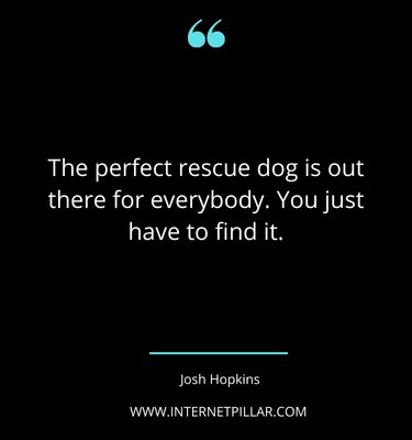 famous-rescue-dog-quotes-sayings-captions