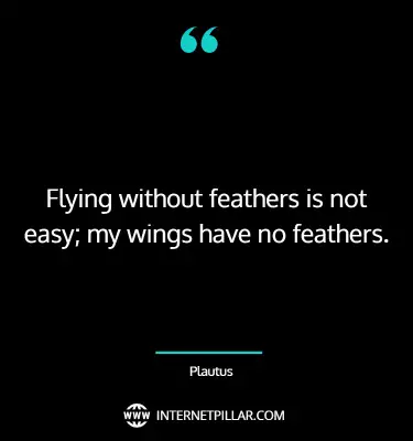 flying-quotes-2