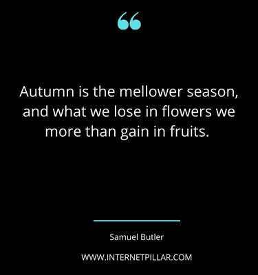 great-autumn-quotes-sayings-captions