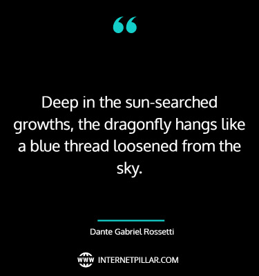great-dragonfly-quotes-sayings-captions