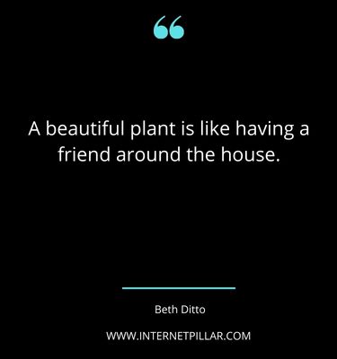 great-houseplant-quotes-sayings-captions