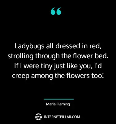 great-ladybug-quotes-sayings-captions