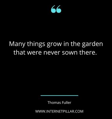 great-plant-quotes-sayings-captions-for-plant-lovers