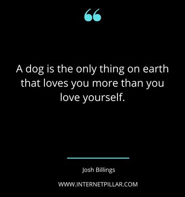 great-rescue-dog-quotes-sayings-captions