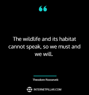 great-save-wildlife-quotes-sayings-captions
