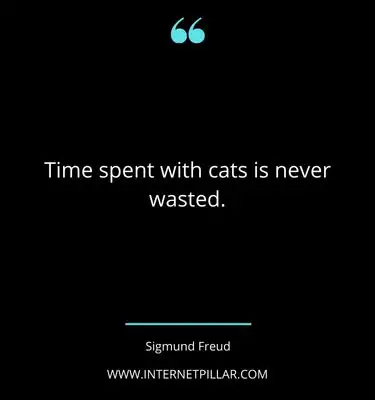 great-wasted-time-quotes-sayings-captions