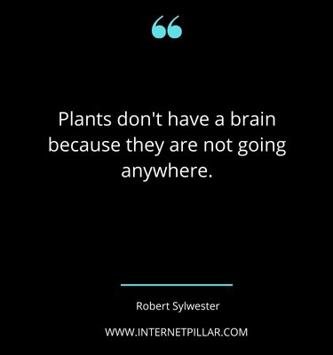 houseplant-quotes-sayings