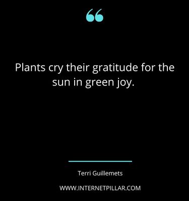 houseplant-quotes