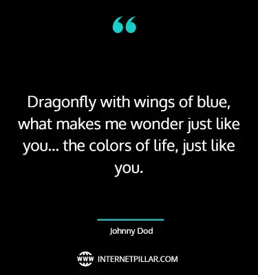 inspirational-dragonfly-quotes-sayings-captions