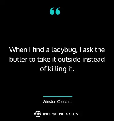 inspirational-ladybug-quotes-sayings-captions