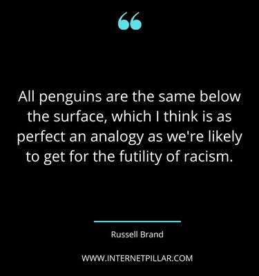 inspirational-penguin-quotes-sayings-captions
