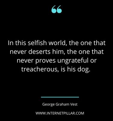 inspirational-rescue-dog-quotes-sayings-captions