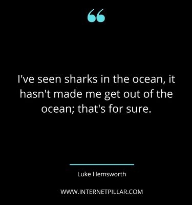 inspirational-shark-quotes-sayings-captions
