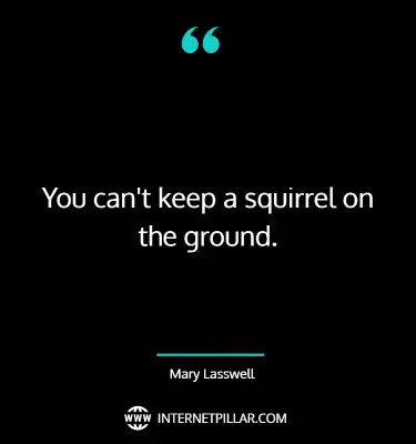 inspirational-squirrel-quotes-sayings-captions