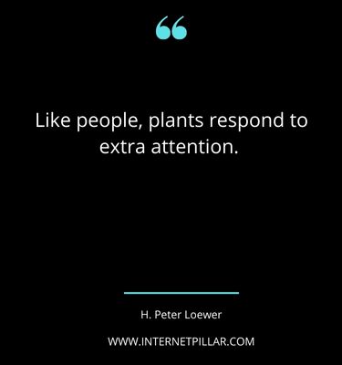 inspiring-houseplant-quotes-sayings-captions