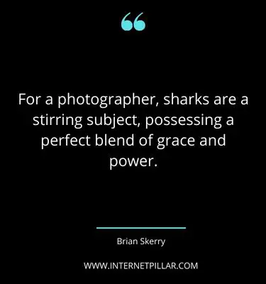 inspiring-shark-quotes-sayings-captions
