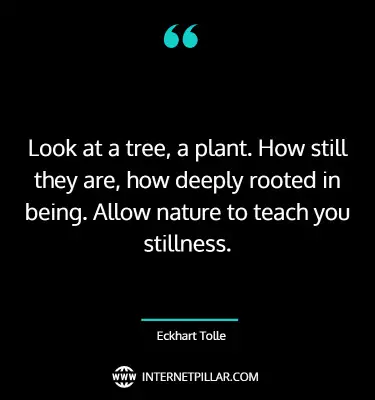 inspiring-tree-quotes-sayings-captions