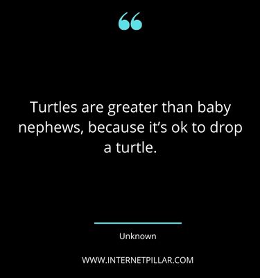 inspiring-turtle-quotes-sayings-captions
