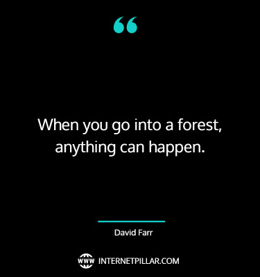 interesting-forest-quotes-sayings-captions