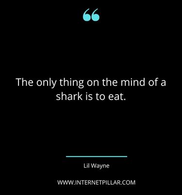 interesting-shark-quotes-sayings-captions
