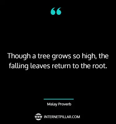 interesting-tree-quotes-sayings-captions