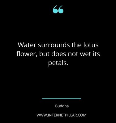 lotus-flower-quotes-sayings-captions
