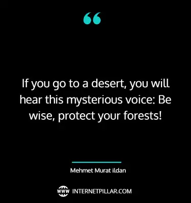 meaningful-forest-quotes-sayings-captions