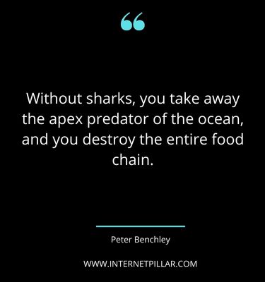 meaningful-shark-quotes-sayings-captions
