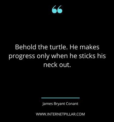 meaningful-turtle-quotes-sayings-captions

