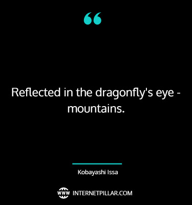 motivating-dragonfly-quotes-sayings-captions