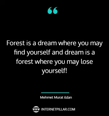 motivational-forest-quotes-sayings-captions