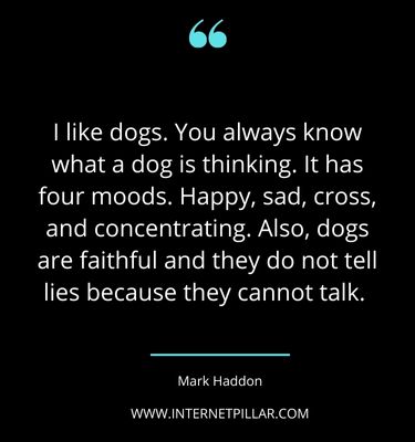motivational-rescue-dog-quotes-sayings-captions