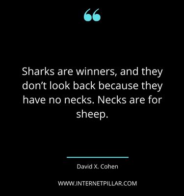 motivational-shark-quotes-sayings-captions

