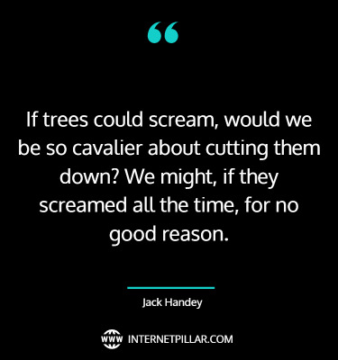 motivational-tree-quotes-sayings-captions