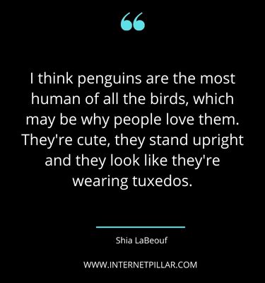 positive-penguin-quotes-sayings-captions
