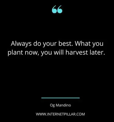 positive-plant-quotes-sayings-captions-for-plant-lovers