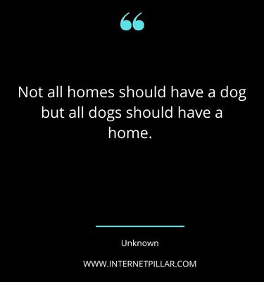 positive-rescue-dog-quotes-sayings-captions