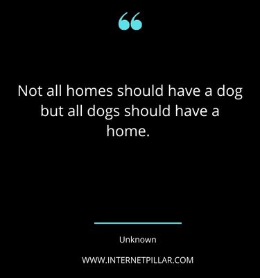 positive-rescue-dog-quotes-sayings-captions