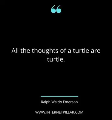 positive-turtle-quotes-sayings-captions
