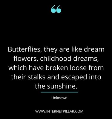 powerful-butterfly-effect-quotes-sayings-captions