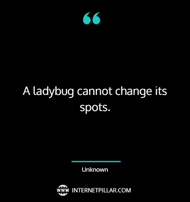 powerful-ladybug-quotes-sayings-captions