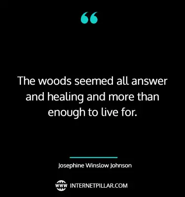 profound-forest-quotes-sayings-captions