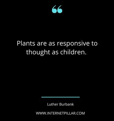profound-houseplant-quotes-sayings-captions