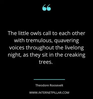 profound-owl-quotes-sayings-captions