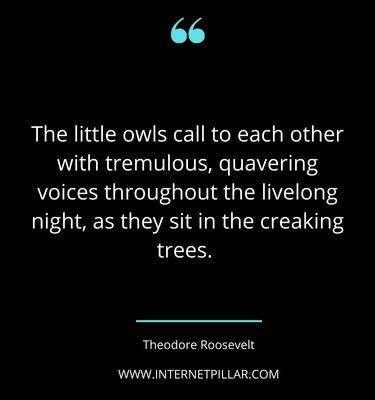 profound-owl-quotes-sayings-captions